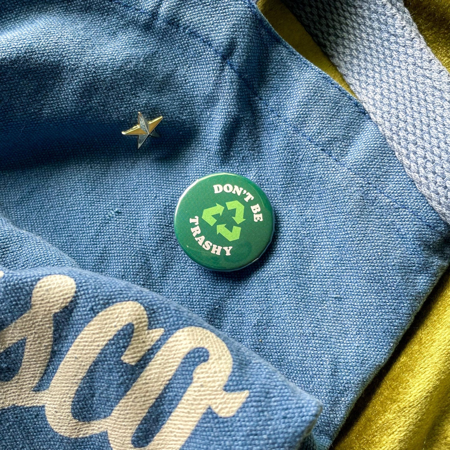 Don't Be Trashy, Please Recycle Pin