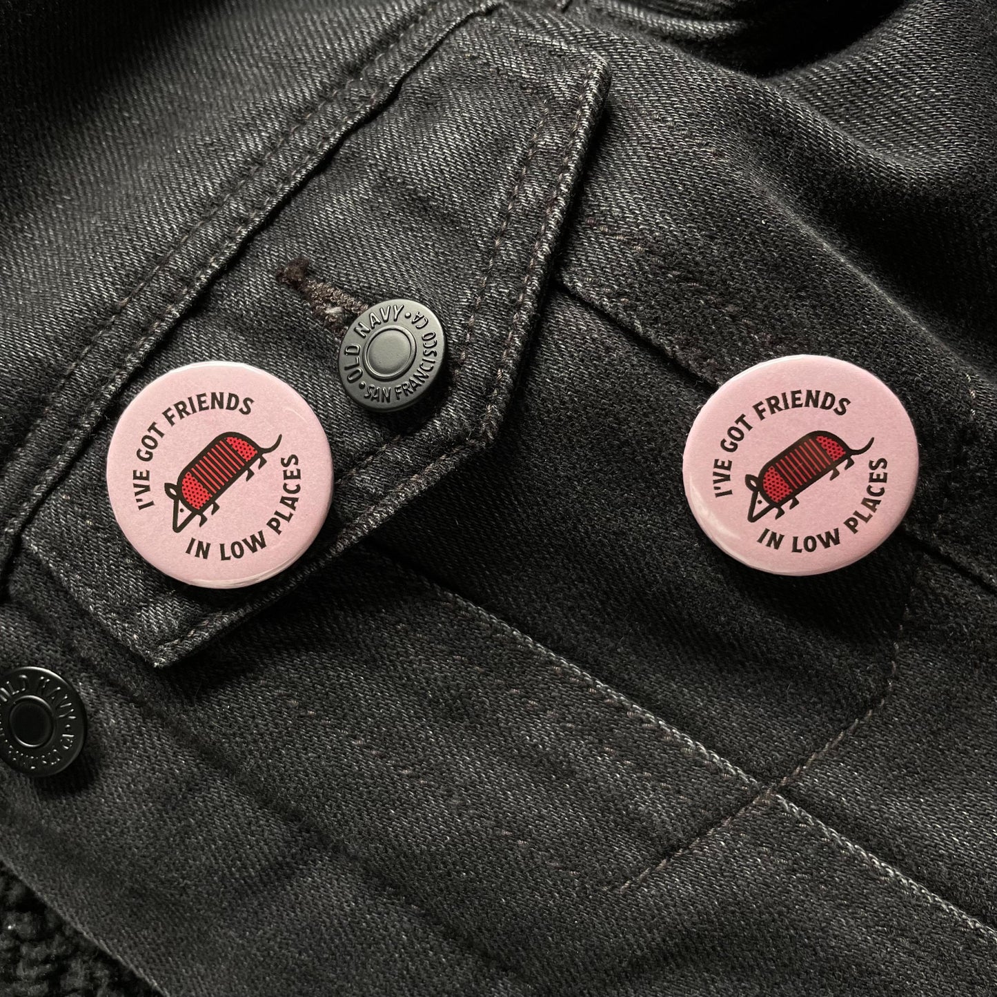 I've Got Friends In Low Places, Armadillo Pin