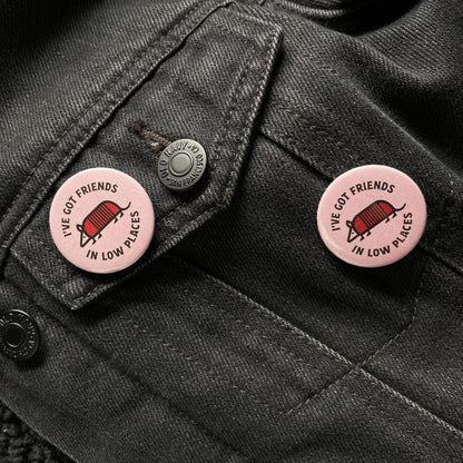 I've Got Friends In Low Places, Armadillo Pin
