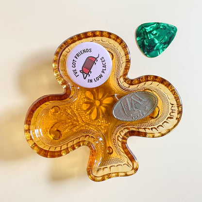 I've Got Friends In Low Places, Armadillo Pin