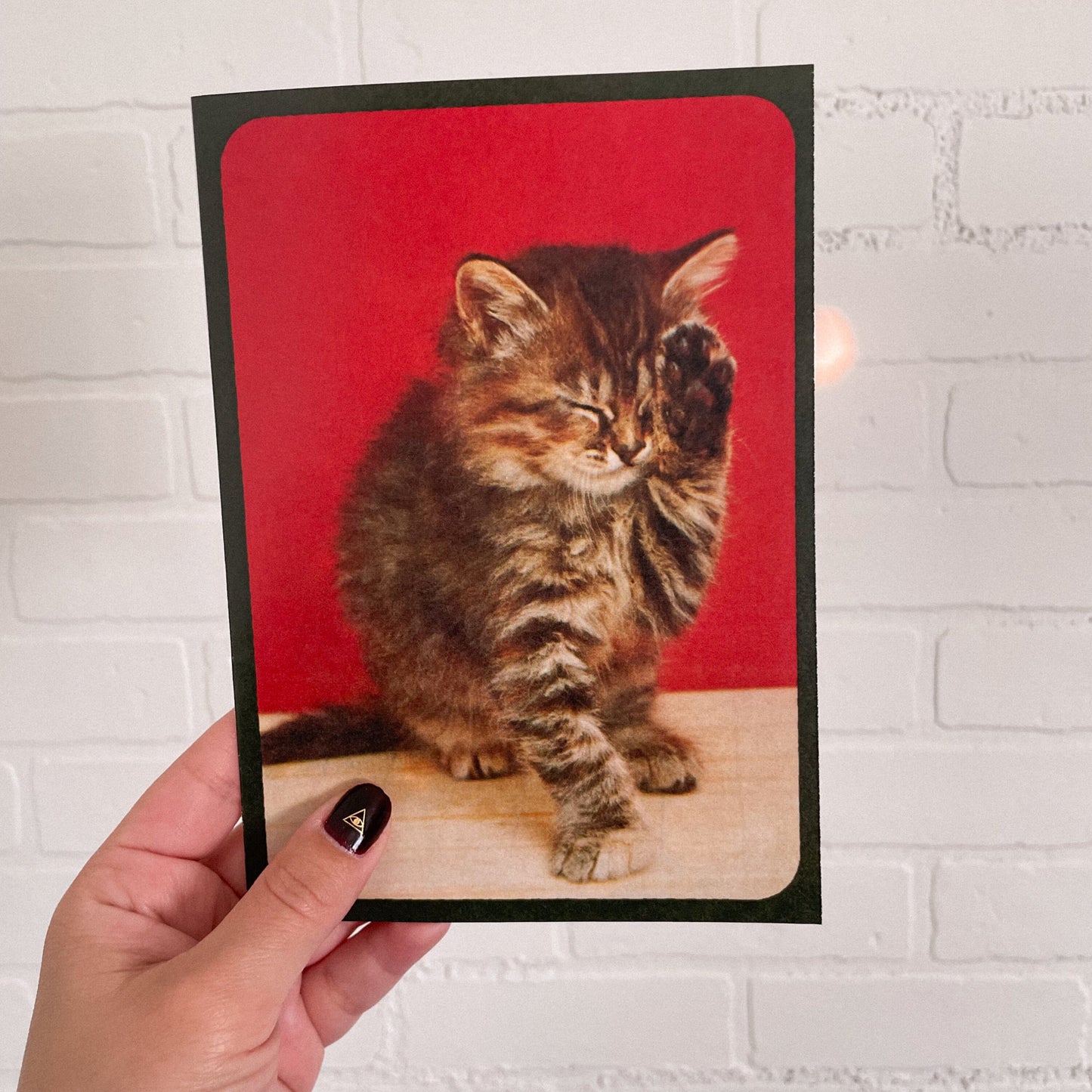 Vintage Kitten Photo Card