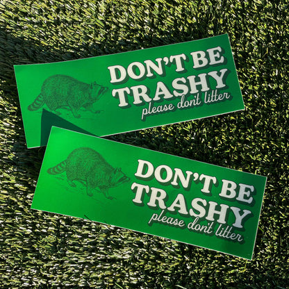 Don't Be Trashy Raccoon Bumper Sticker