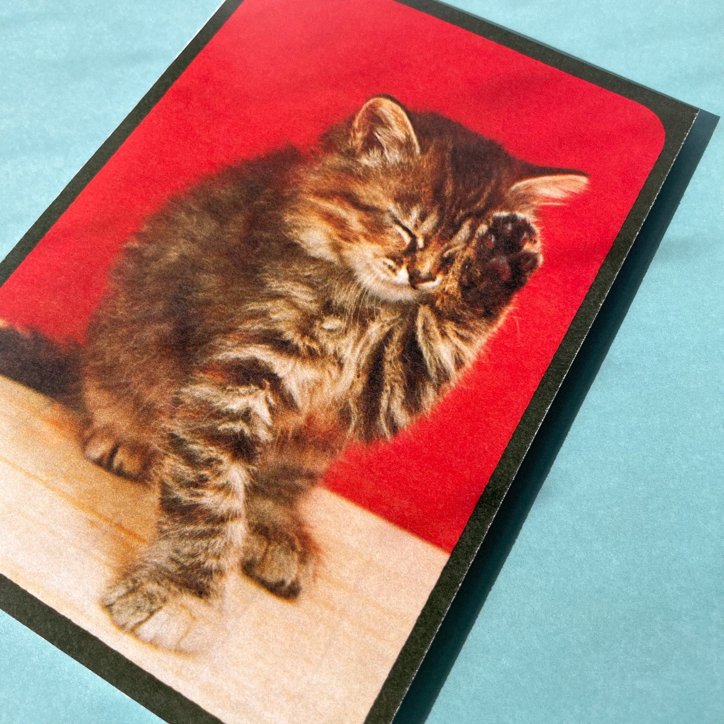 Vintage Kitten Photo Card