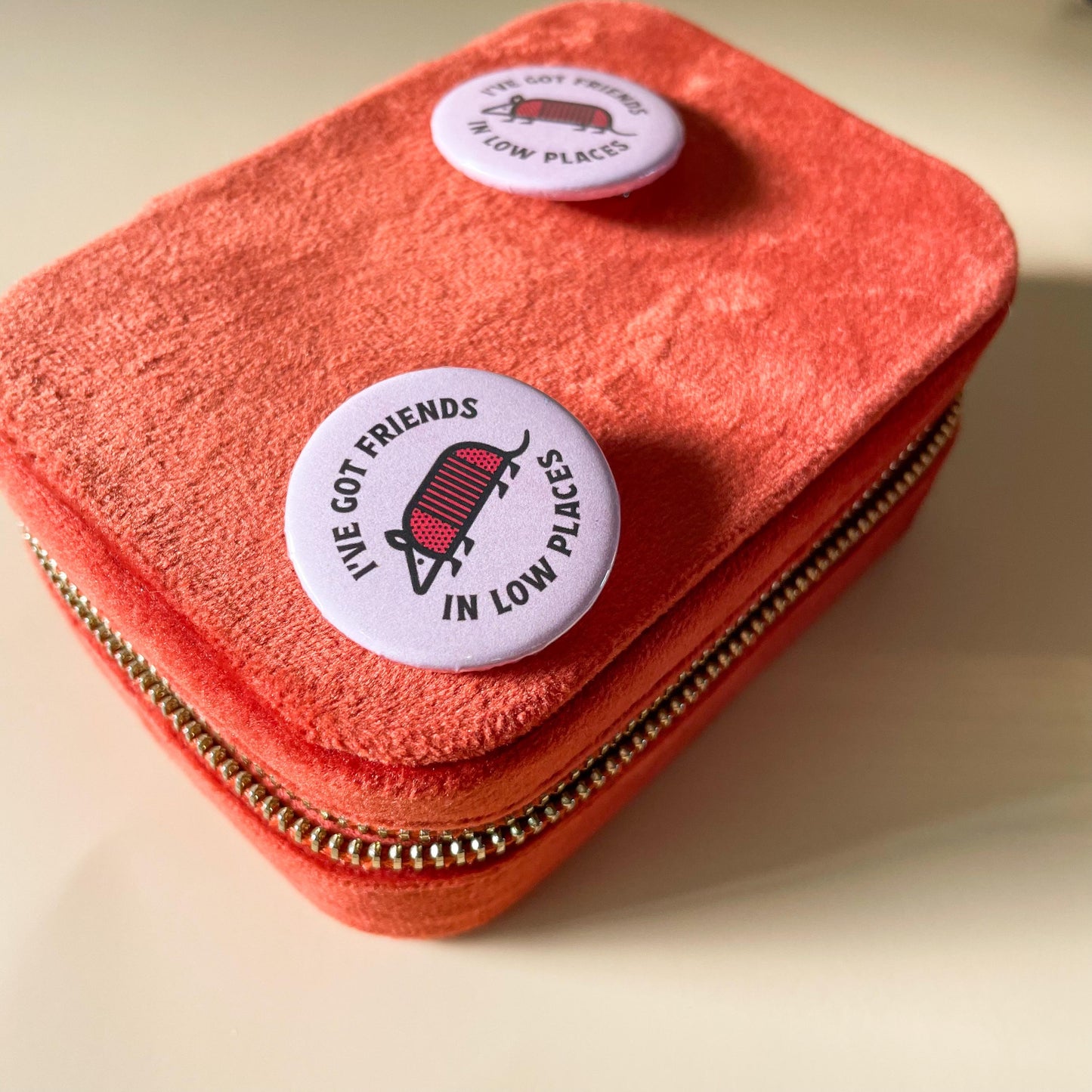 I've Got Friends In Low Places, Armadillo Pin