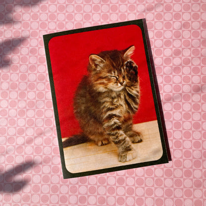 Vintage Kitten Photo Card