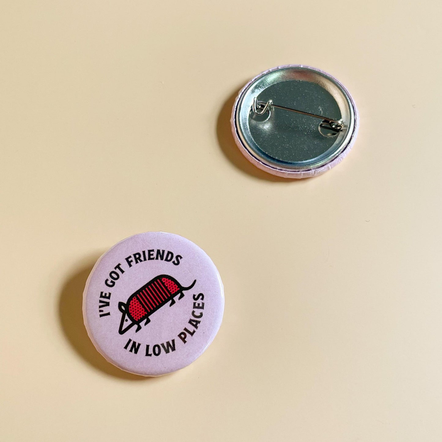 I've Got Friends In Low Places, Armadillo Pin