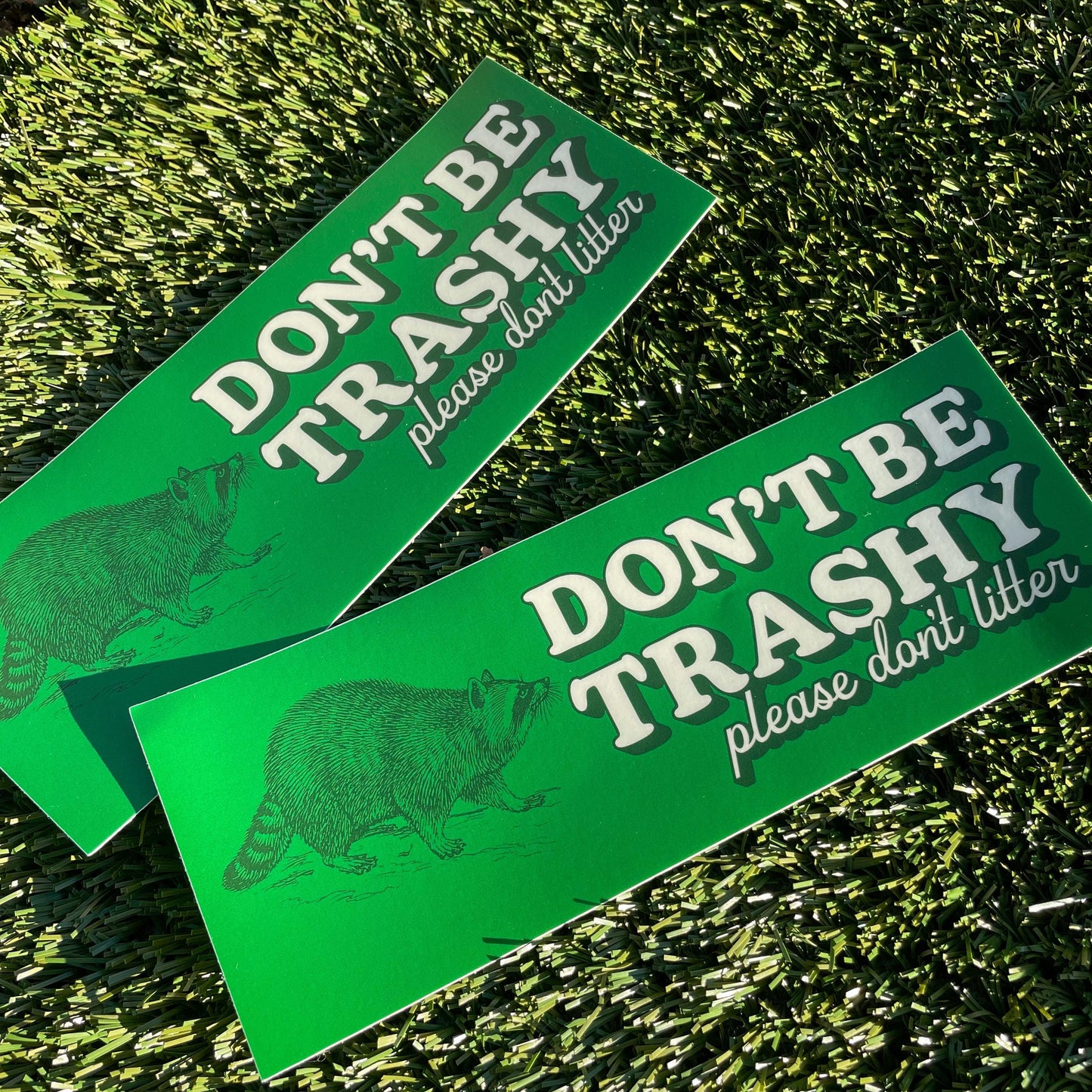 Don't Be Trashy Raccoon Bumper Sticker