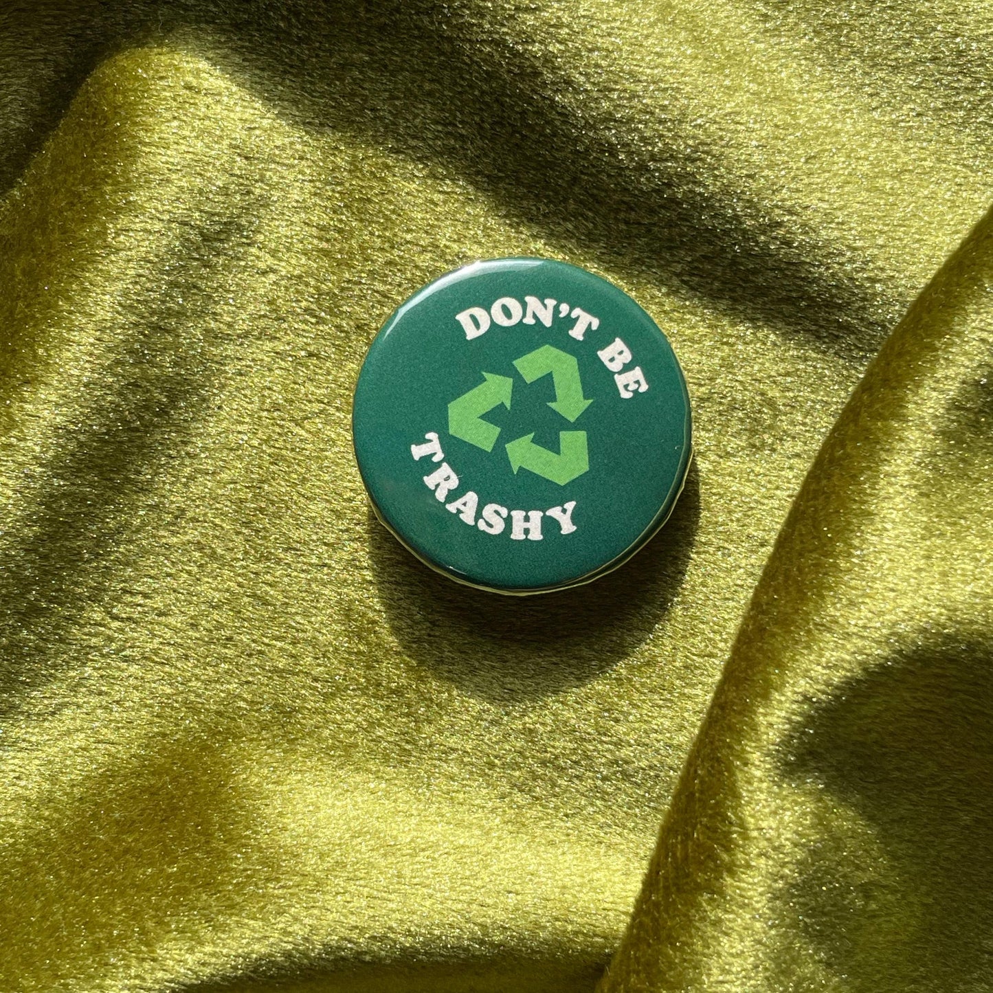 Don't Be Trashy, Please Recycle Pin