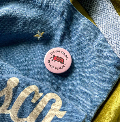 I've Got Friends In Low Places, Armadillo Pin